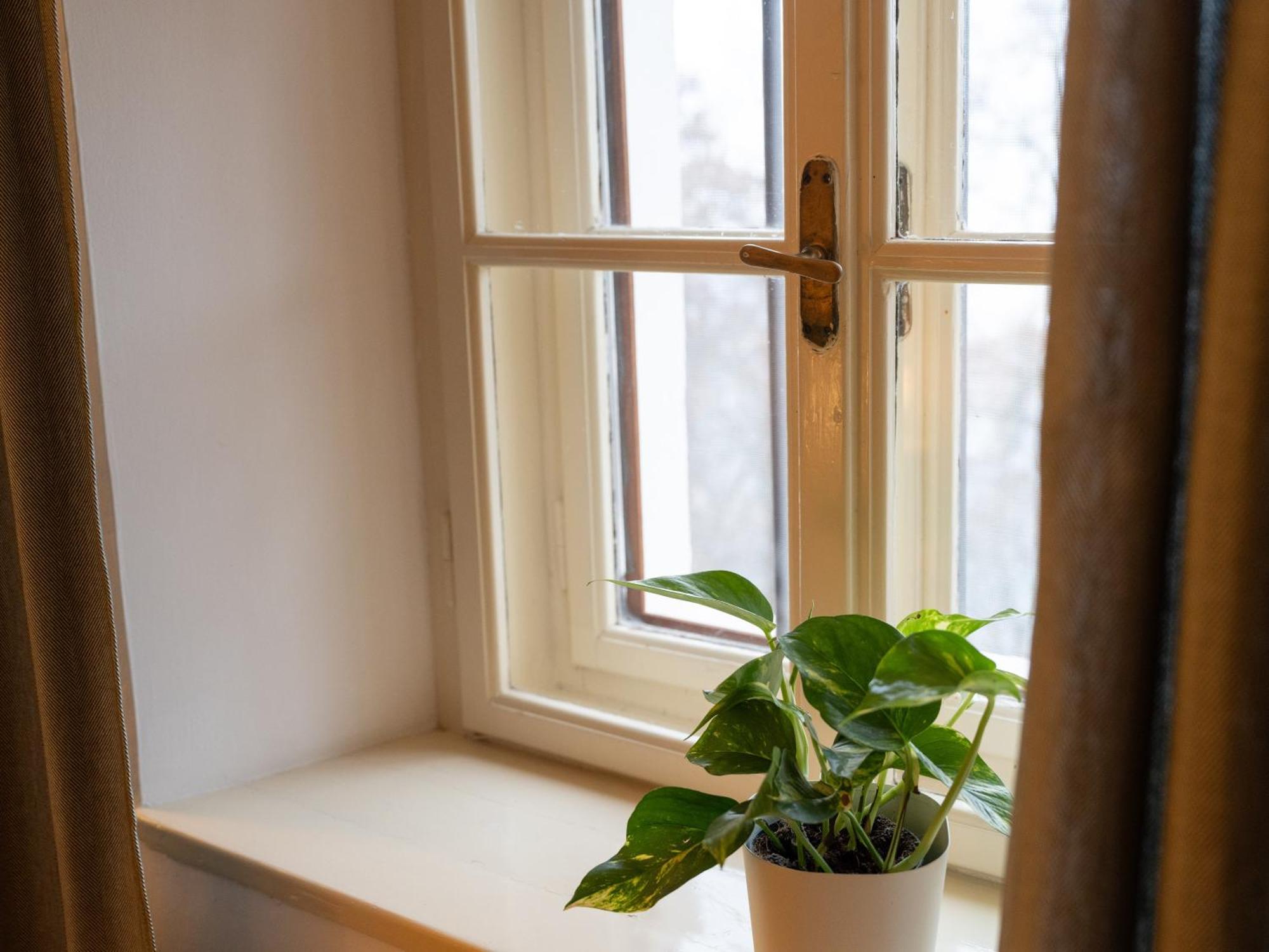 Eden Apartment Soprabolzano Luaran gambar